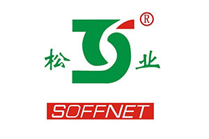 The LED bulbs of Songye Electrical Appliances have passed the RoHS certification in the General Standard test